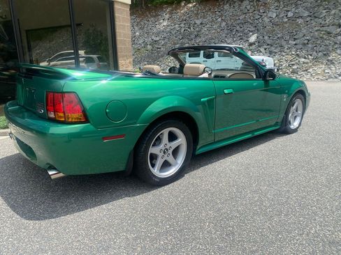 Used 1999 Ford Mustang Cobra RWD image 2