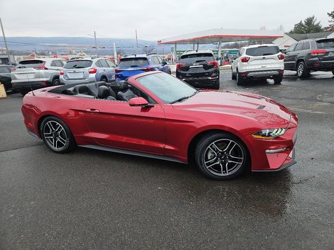 Used 2021 Ford Mustang Premium w/ Equipment Group 201A image 7