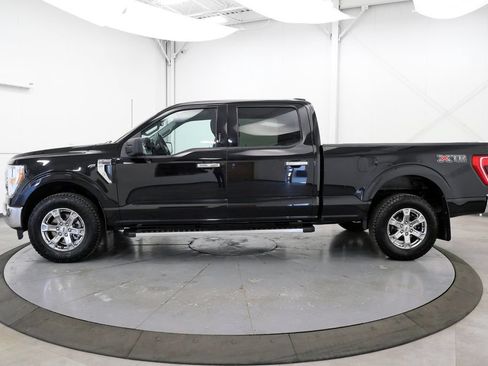 Used 2023 Ford F150 XLT w/ Equipment Group 301A Mid AWD/4WD image 4