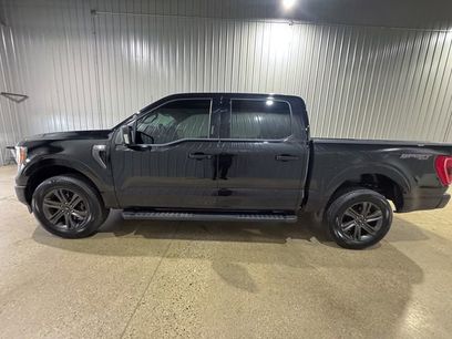 Used 2023 Ford F150 XLT w/ Equipment Group 302A High