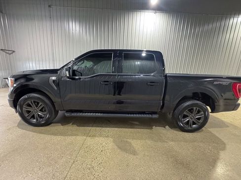 Used 2023 Ford F150 XLT w/ Equipment Group 302A High AWD/4WD image 2