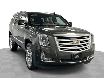 Certified 2020 Cadillac Escalade Platinum