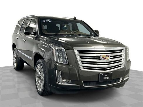 Used 2020 Cadillac Escalade Platinum image 1