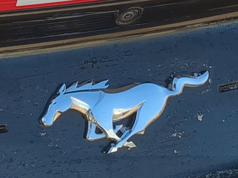 Used 2023 Ford Mustang Premium w/ Equipment Group 201A image 14