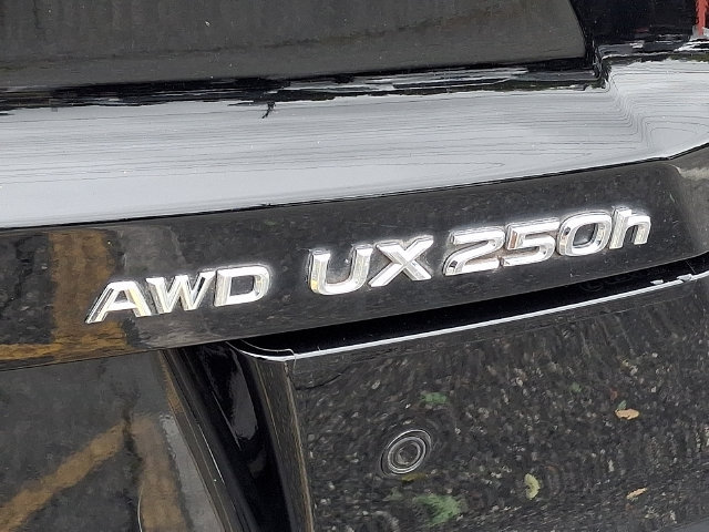 Used 2024 Lexus UX 250h AWD w/ Premium Package image 30