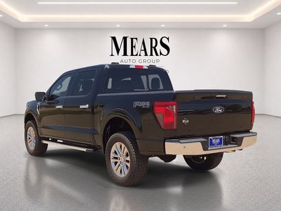 Used 2024 Ford F150 XLT w/ Equipment Group 302A MID
