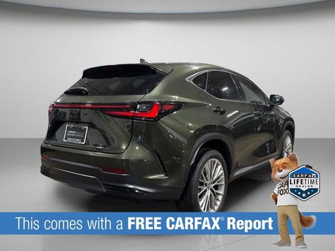 Used 2025 Lexus NX 350h AWD w/ Cold Area Package image 5