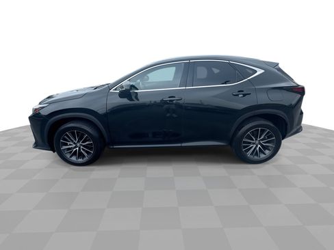 Used 2024 Lexus NX 350 AWD w/ Cold Area Package image 5