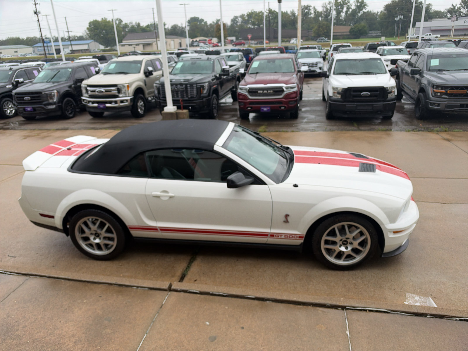 Used 2008 Ford Mustang Shelby GT500 RWD image 5