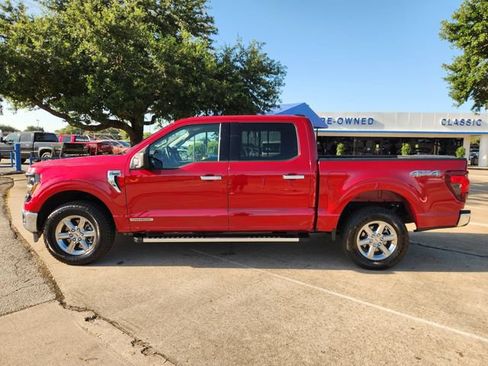Used 2025 Ford F150 XLT w/ Equipment Group 301A Standard AWD/4WD image 4
