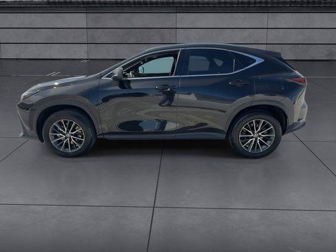 Certified 2024 Lexus NX 250 FWD w/ Cold Area Package image 5
