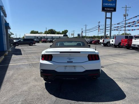 Used 2024 Ford Mustang Premium RWD image 5
