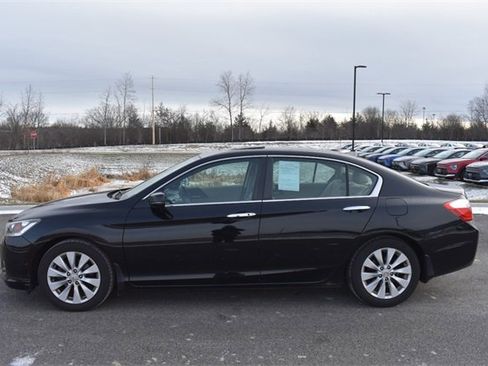 Used 2014 Honda Accord EX-L image 6