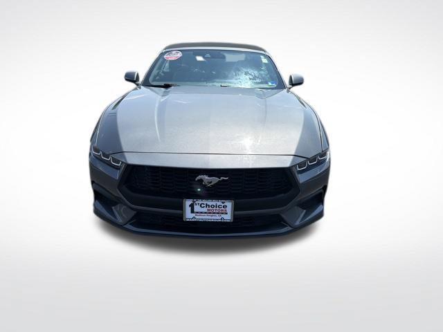 Used 2024 Ford Mustang Premium RWD image 10