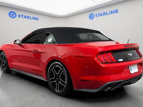 Used 2020 Ford Mustang Premium RWD image 18