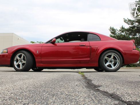Used 2003 Ford Mustang Cobra RWD image 24