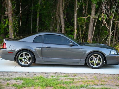 Used 2003 Ford Mustang Cobra RWD image 6