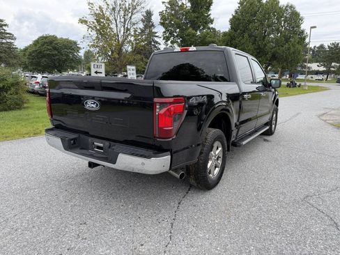 Used 2025 Ford F150 XLT w/ Equipment Group 301A Standard AWD/4WD image 5