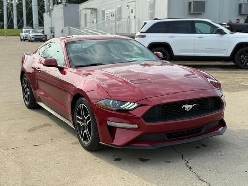 Used 2019 Ford Mustang Coupe w/ Equipment Group 101A RWD image 4