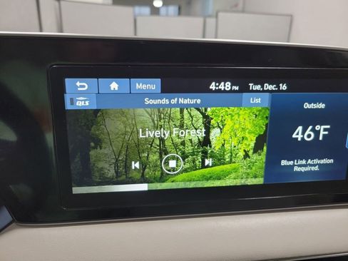 Used 2021 Hyundai Palisade Limited image 10