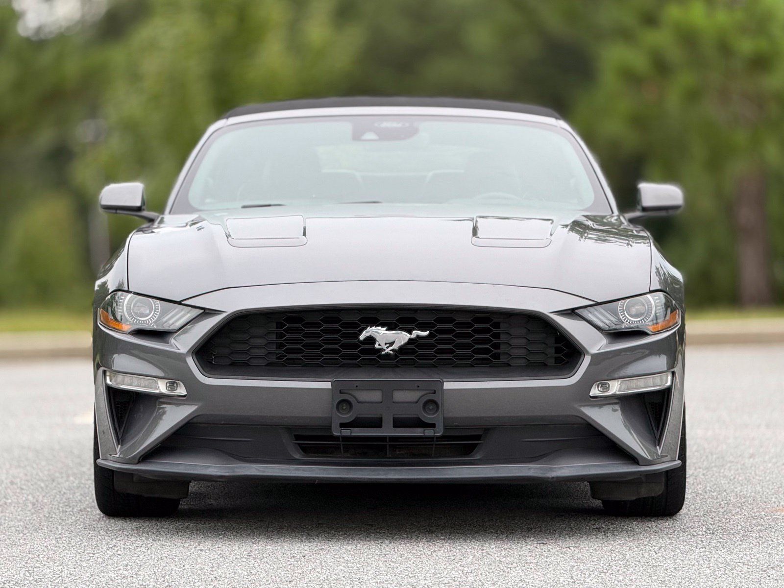 Used 2021 Ford Mustang Premium RWD image 3