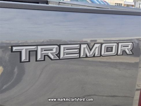 New 2026 Ford F250 Platinum w/ Tremor Off-Road Package image 13