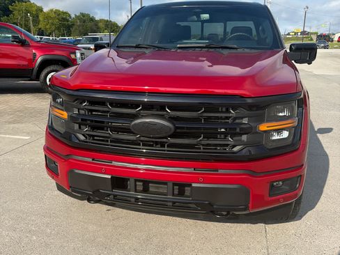 Used 2024 Ford F150 XLT w/ Equipment Group 303A High AWD/4WD image 3
