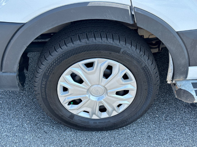Certified 2025 Ford Transit 250 Low Roof w/ Exterior Upgrade Package RWD image 13