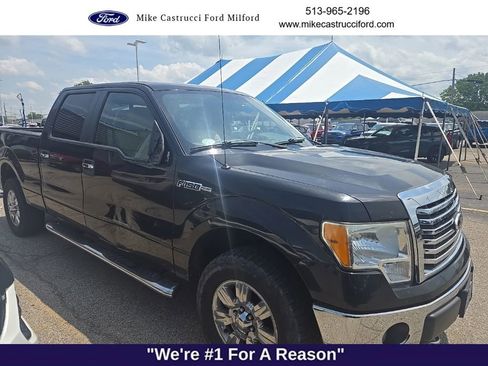 Used 2010 Ford F150 XLT AWD/4WD image 3