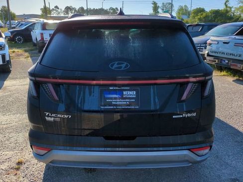 New 2026 Hyundai Tucson Limited AWD/4WD image 6