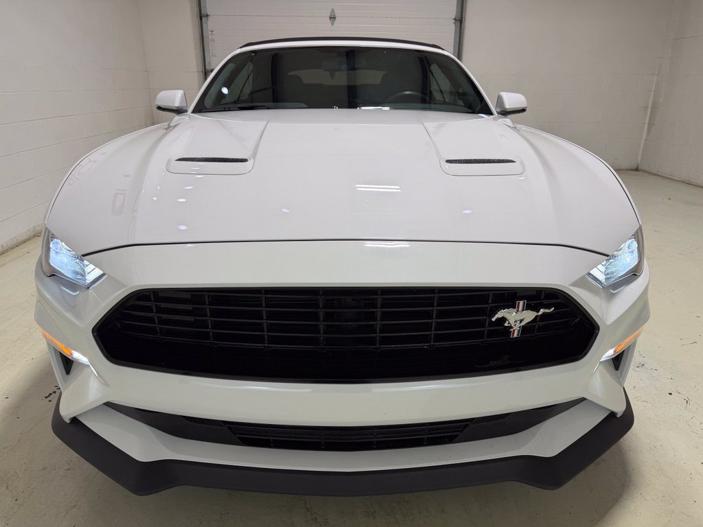 Used 2019 Ford Mustang GT Premium w/ California Special Package RWD image 4