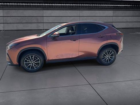 Certified 2025 Lexus NX 250 FWD w/ Cold Area Package image 5