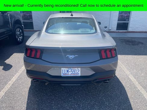 Used 2025 Ford Mustang Coupe RWD image 4