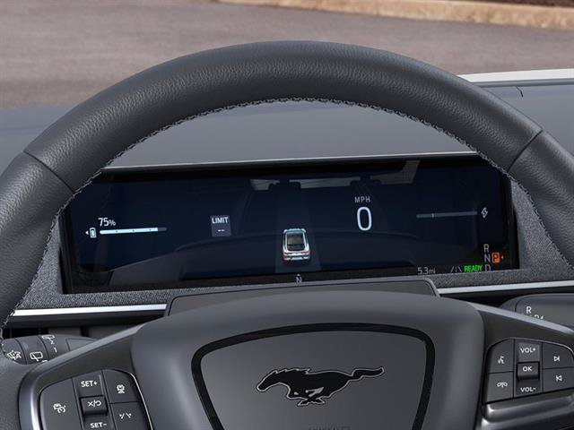 New 2025 Ford Mustang Mach-E GT w/ Interior Protection Package AWD/4WD image 13