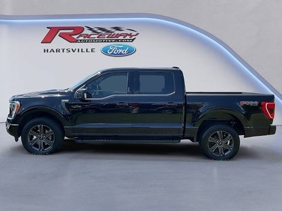 Certified 2023 Ford F150 XLT w/ Equipment Group 302A High