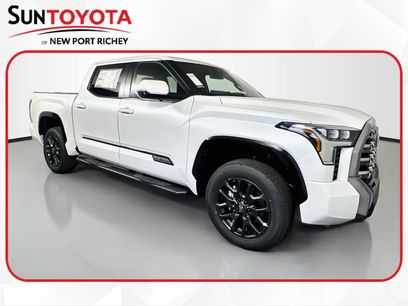 New 2026 Toyota Tundra Platinum