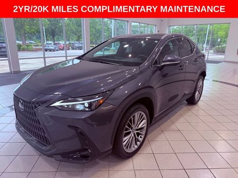 Certified 2025 Lexus NX 350 AWD w/ Cold Area Package image 3