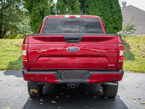 Used 2019 Ford F150 XLT w/ Equipment Group 302A Luxury AWD/4WD image 6