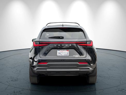 Used 2025 Lexus NX 250 250 Premium w/ Accessory Package (2T) image 5