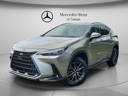 Used 2024 Lexus NX 350 AWD