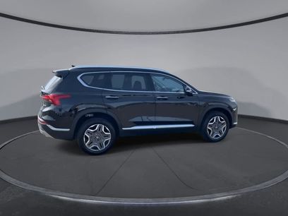 Used 2023 Hyundai Santa Fe Limited w/ Cargo Package