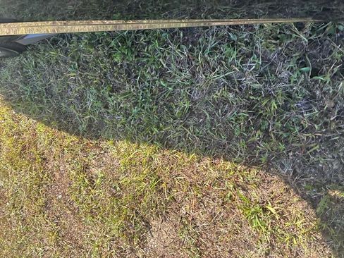 New 2026 Hyundai Sonata Blue image 21