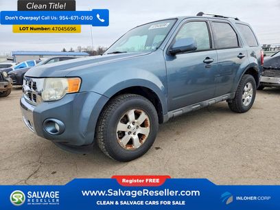 Used 2010 Ford Escape Limited
