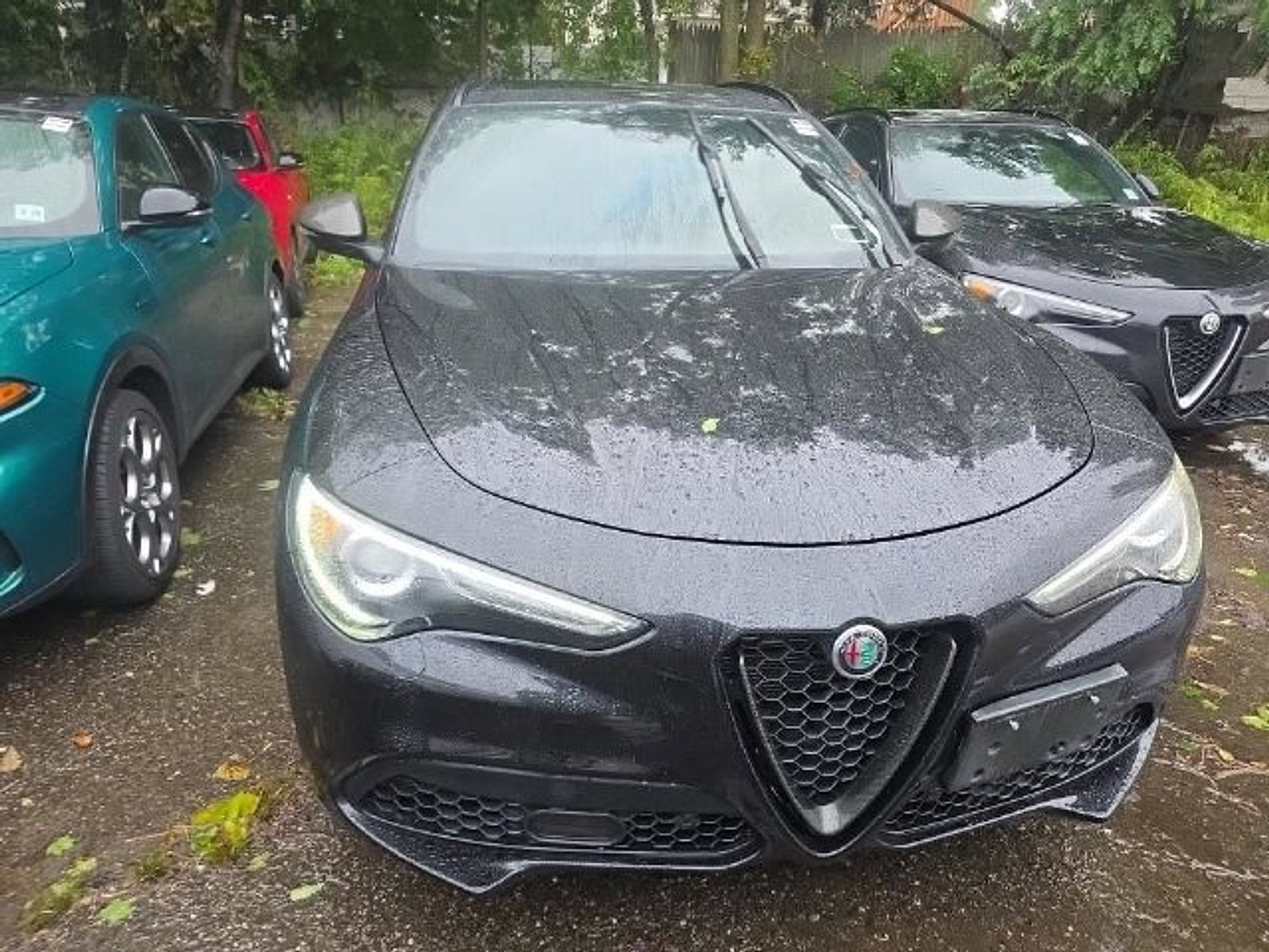 Used 2023 Alfa Romeo Stelvio Estrema AWD/4WD image 3