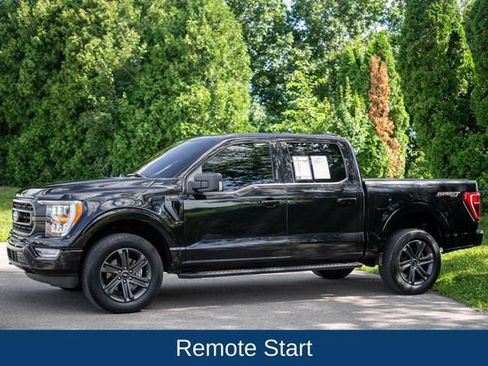 Used 2023 Ford F150 XLT w/ Equipment Group 302A High AWD/4WD image 9