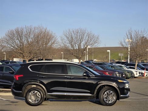 Used 2023 Hyundai Santa Fe Blue image 4