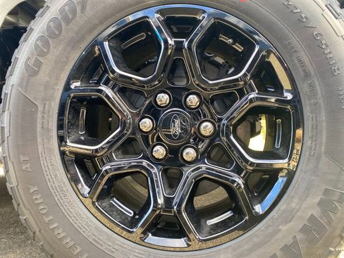 New 2026 Ford F150 XLT w/ XLT Black Appearance Package image 13