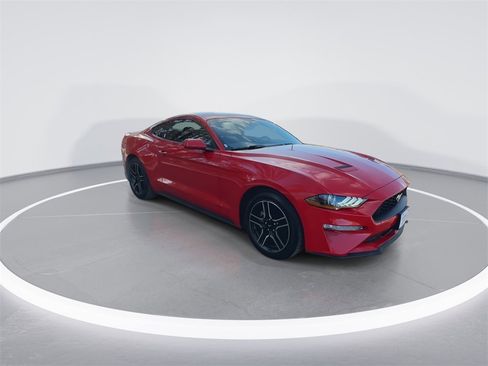 Used 2019 Ford Mustang Premium w/ Equipment Group 101A image 2