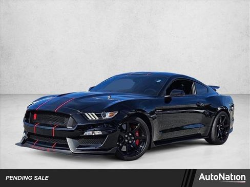 Used 2019 Ford Mustang Shelby GT350R w/ GT350R Equipment Group 920A RWD image 1