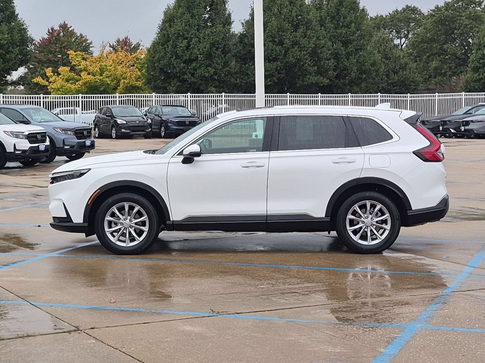 Certified 2024 Honda CR-V EX-L image 10